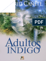 Resumo Adultos Indigo Ingrid Canete