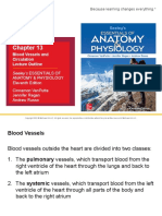 Chap13 PPT Blood+Vessels