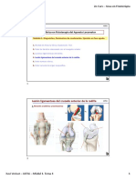 ACFAL 21-22 - Módulo A - 4. Rodilla. Lesión Ligamentosa de Cruzado Anterior. Presentación