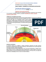 Practica N°5