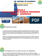 Semana 2 Construcciones Con Madera