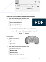 Ficha de Avaliação (4 - C) - Trocas Nutricionais Nas Plantas