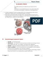 Placenta