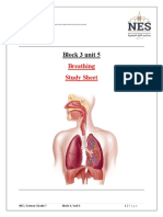 Breathing Study Sheet