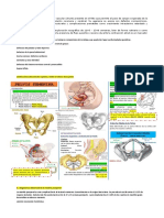 Ductus Fetal