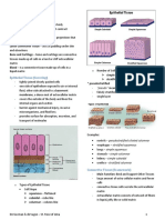 Gen Bio 2 (Tissues and Oragnismal Biology)