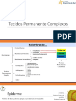 FARMACOBOTANICA-Histologia TecidosComplexos