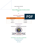 FMMMicro Project