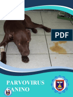 PARVOVIRUS