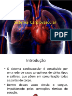 Sistema Cardiovascular