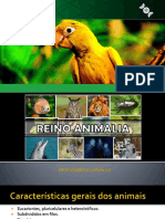 Reino Animalia Atualizado