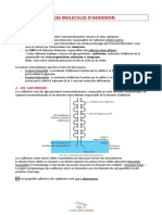 05 Les Molecules D - Adhesion