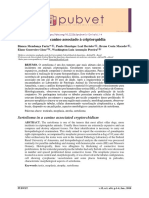 Sertolioma em Um Canino Associado Agrav