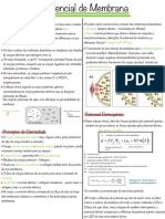 Potencial de Membrana