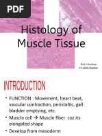 Muscle Tissue - Wo Audio