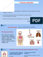 Ciencias Organos Del Cuerpo