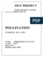 Pollination in Sunflower and Legum