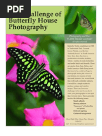 Butterfly House Photography