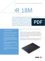 DR 18M (Portuguese)