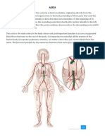 Aortic Dissection