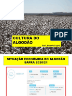 Início ALGODÃO Abr2021