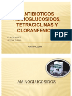 Cos Aminoglucosidos Tetraciclinas y Cloranfenicol