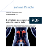 5 Principais Doenças Do Sistema Urinário