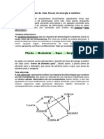 Fluxo de Matéria e Energia