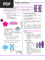 Resumo Acidos Nucleicos