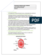 Evaluacion Estomatologia Forense