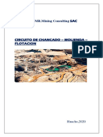 Mining Consulting - Circuito de Chancado Molienda y Flotacion