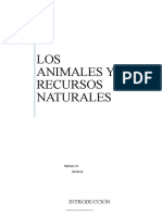 Los Animales y Recursos Naturales