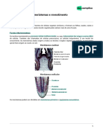 Histologia Vegetal - Meristemas e Revestimento