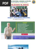 Clase 11. Inteligencia Emocional