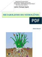 Aulas 3 e 4 - Metabolismo Do Nitrogênio - Agronomia