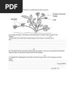 Homework Worksheet Plant Reproduction