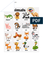 Animales - 2do Grado