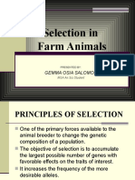 Selection in Farm Animals - Presented by NOEL P. PAZ