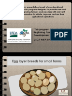 Egg Layer Breeds For Small Farms