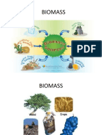 Biomass