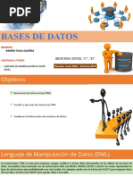 Clase # 7 Lenguaje de Manipulación de Datos DML Parte 1