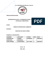 Trabajo Final Der Ambiel Internacional PDF