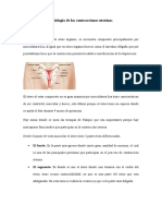 Fisiología de Las Contracciones Uterinas