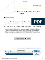 Consulta RNMC-karen-medidas Correctivas