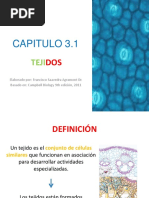 Capitulo 3.1 Tejidos