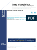 Embedding and Self-Organization of Nanoparticles in Phospholipid Multilayers