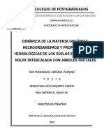 Dinámica de La Materia Orgánica, Microorganismos y Propiedades Hidrológicas de Los Suelos en El Sistema Milpa Intercalada Con Árboles Frutales.