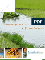 Budget 2010