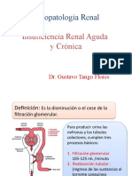 Tema 1 Insuficiencia Renal