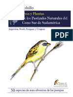 Aves de America Del Sur